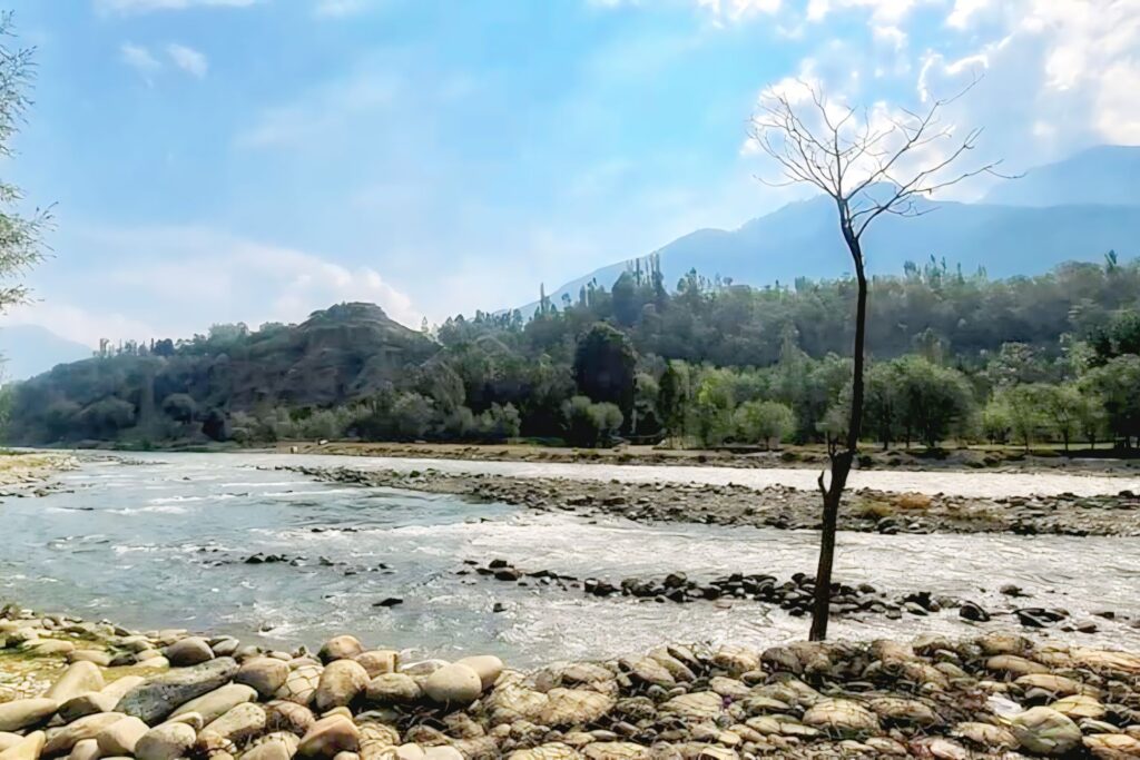 Manali