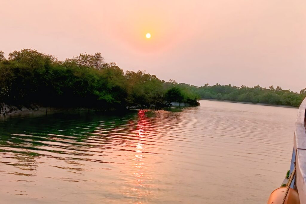 Sundarban - 04